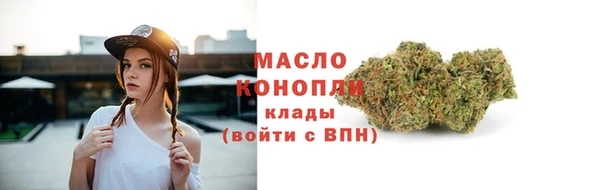 твердый Надым