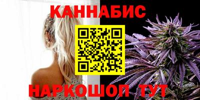 дмт Гай
