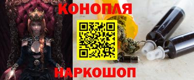 дмт Гай
