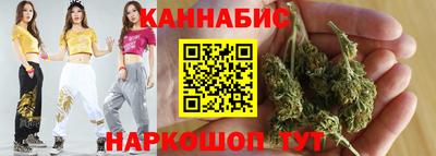 дмт Гай