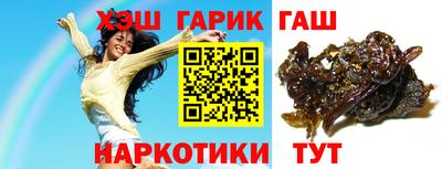 индика Гагарин