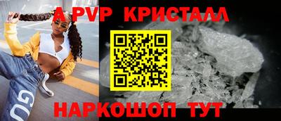 дмт Гай