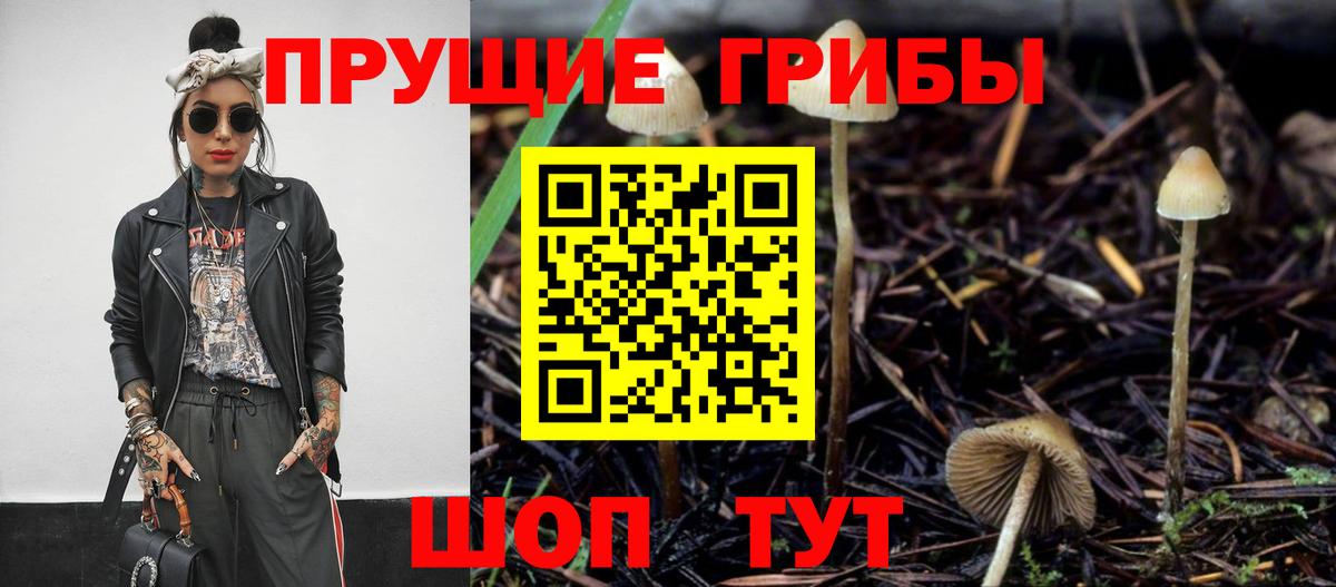 Краснотурьинск  Псилоцибиновые грибы Cubensis  Галлюциногенные грибы Cubensis  Вход с VPN 